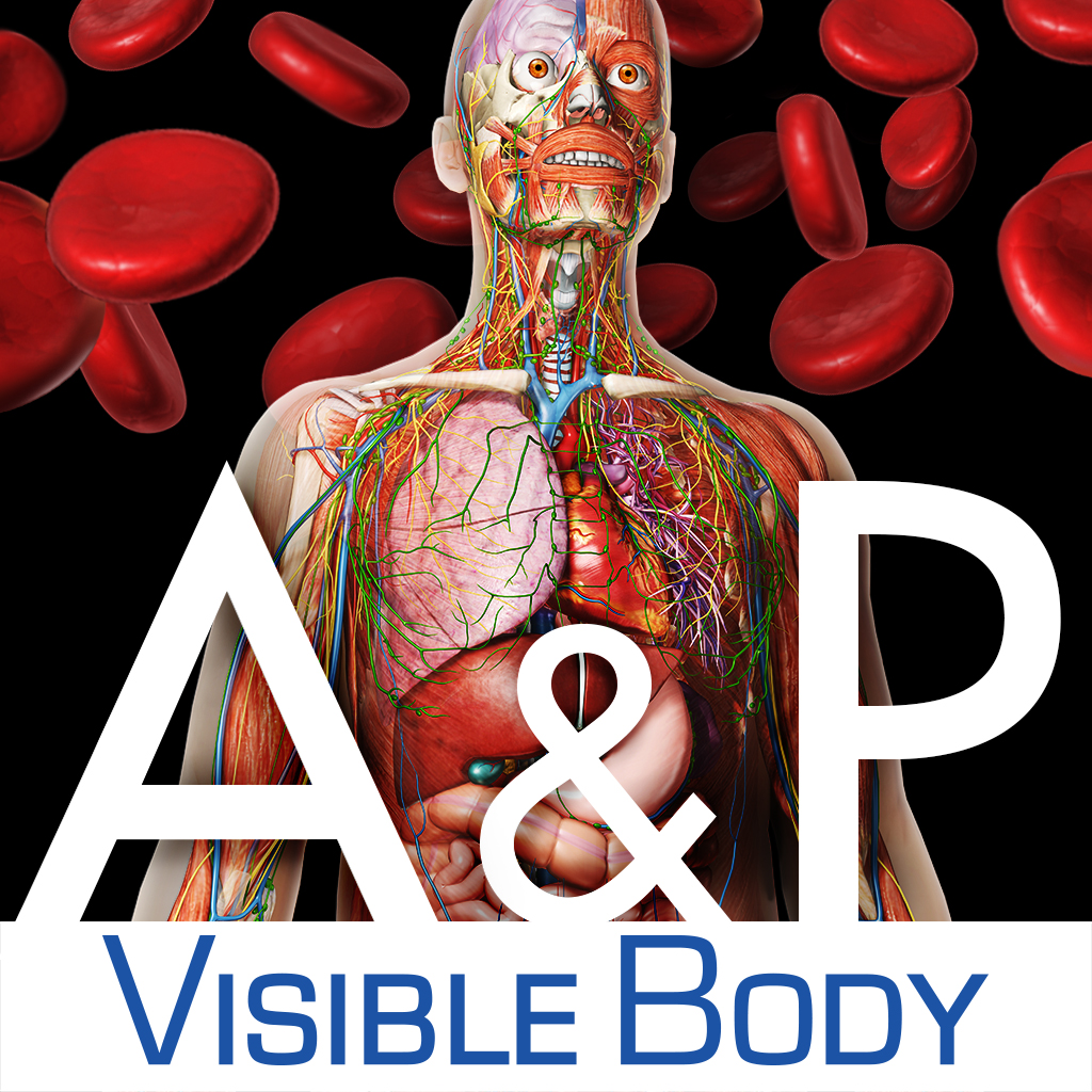 Anatomy & Physiology - Learn Anatomy Body Facts - Study Reference for